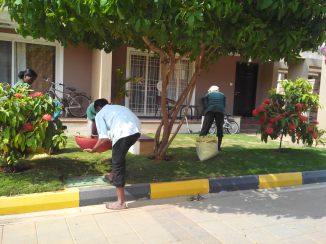 Giving back to where it belongs: All the kitchen waste and garden waste is turned into rich organic manure and given back to where it belongs. 