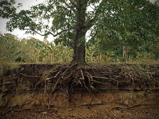 10712746_10152841564874560_8384218774450203083_n