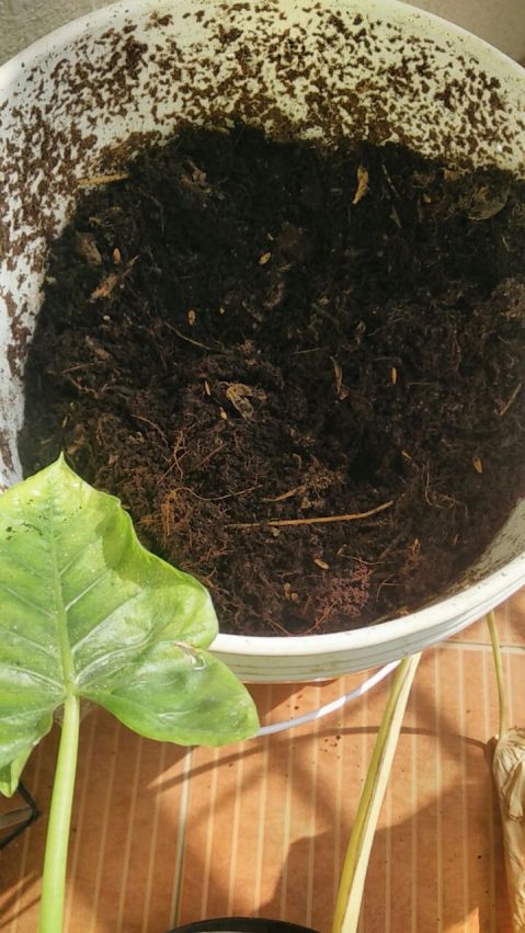 85aa1ed5-a1c5-41d0-ac40-455e391a34bd