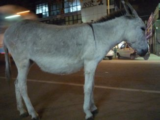 52052_124973227556589_5266708_o