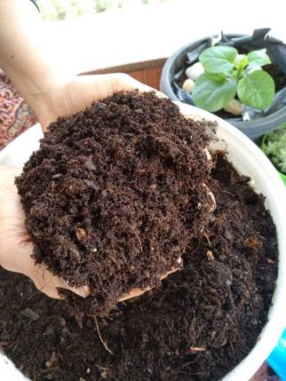 e82fa440-7f6f-4265-bec8-24969e139135