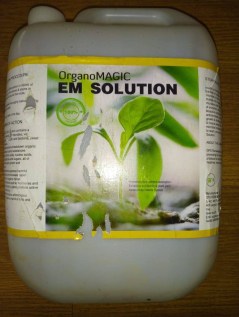 whatsapp image 2018-11-15 at 11.14.24 am